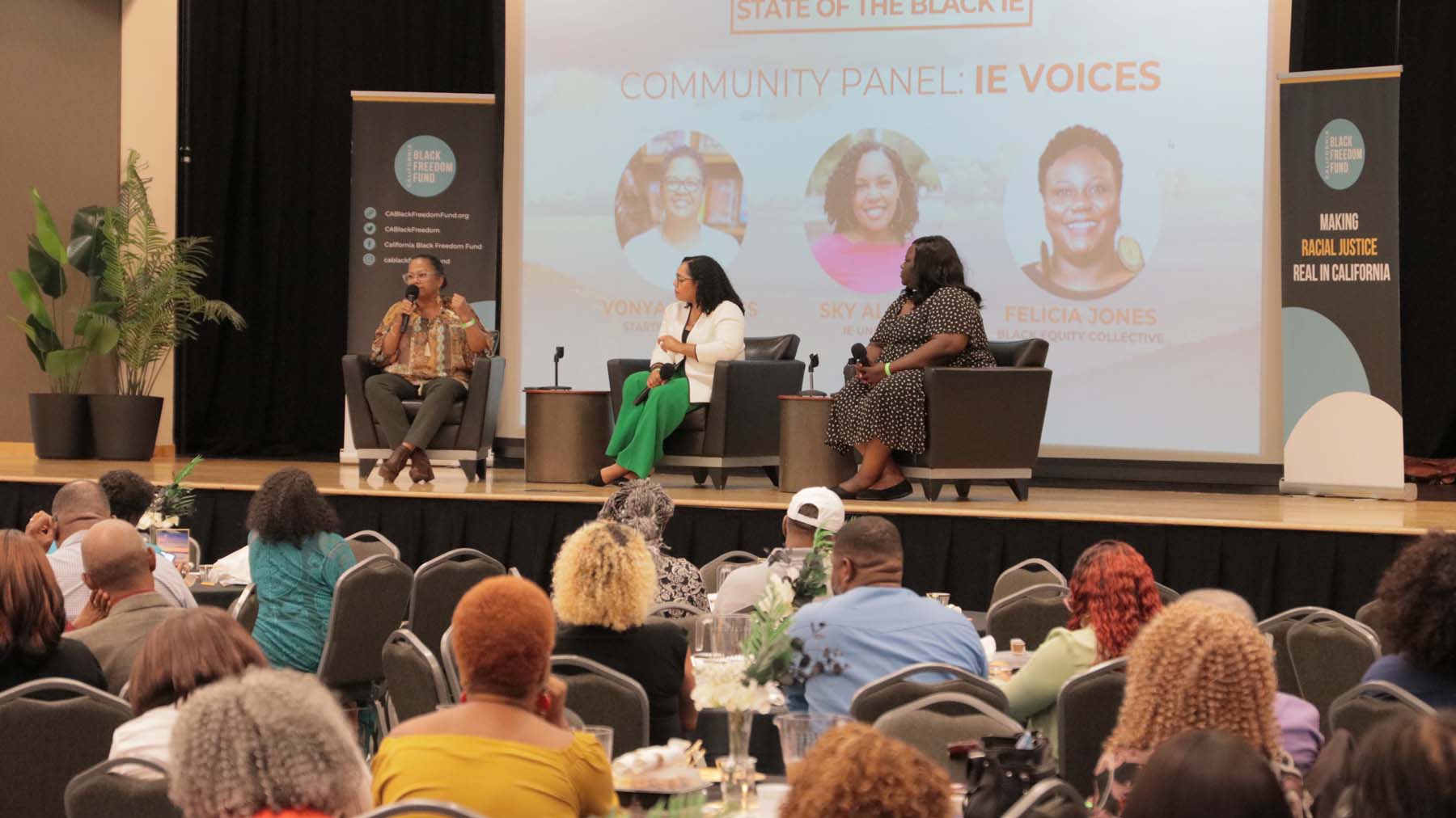 community panel ie voices